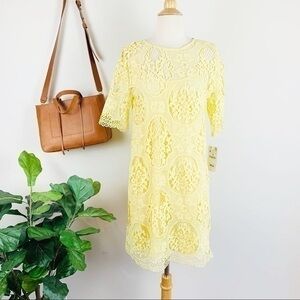 Zara lace crotchet dress